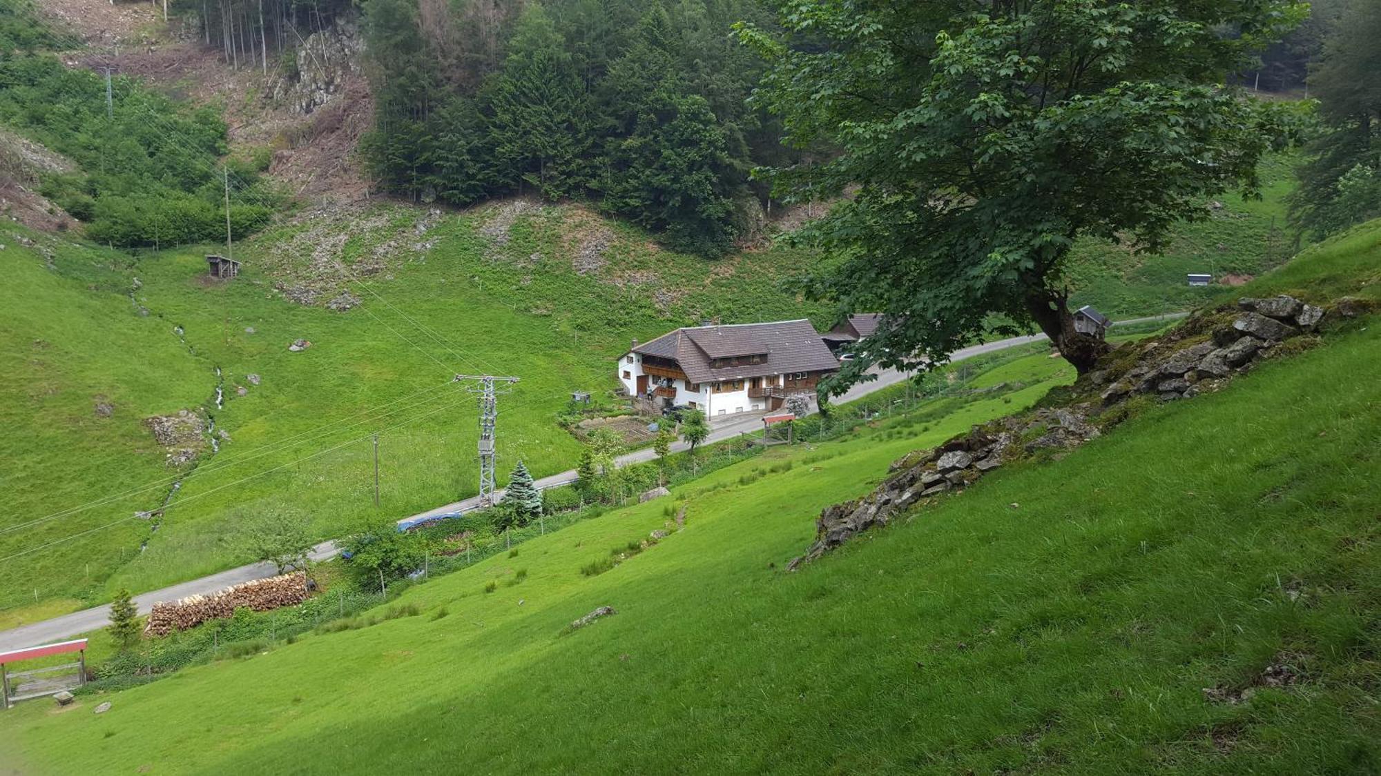 Bauernhaus Im Muenstertal Münstertal Exterior foto
