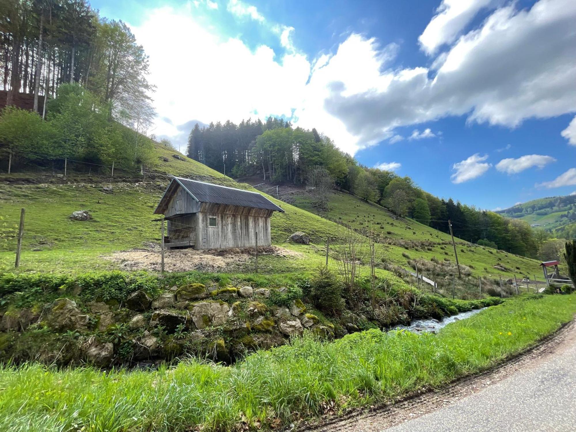 Bauernhaus Im Muenstertal Münstertal Exterior foto