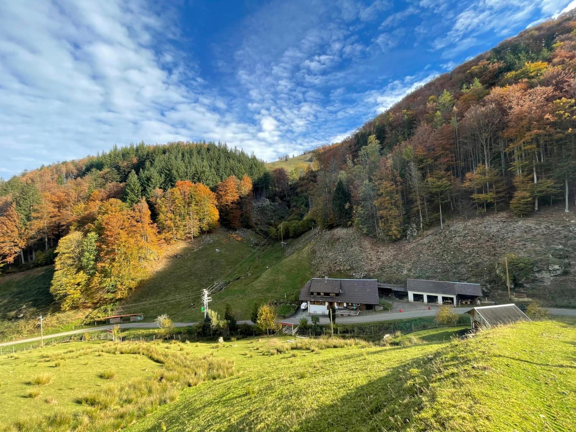 Bauernhaus Im Muenstertal Münstertal Exterior foto